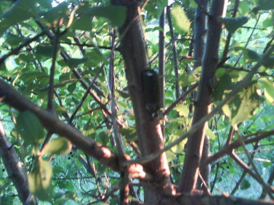 g3/95/573095/3/102933135.65MXH3xo.jpg