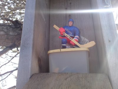 0338 Riley's Travel Bug Treehouse!