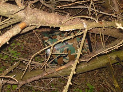 0468 OXFORD WOODS