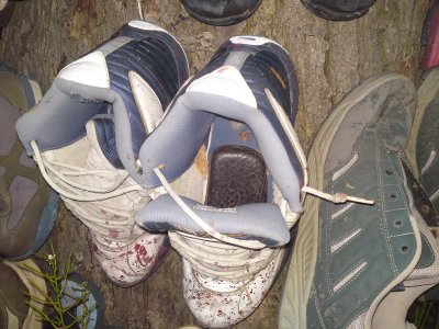 0510 Paris Shoe Tree