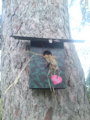 0529 Low Down Cache