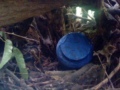 DSC02686_resize.JPG