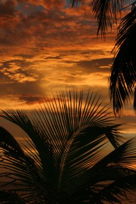 Sunrise in Ambergris Cayes