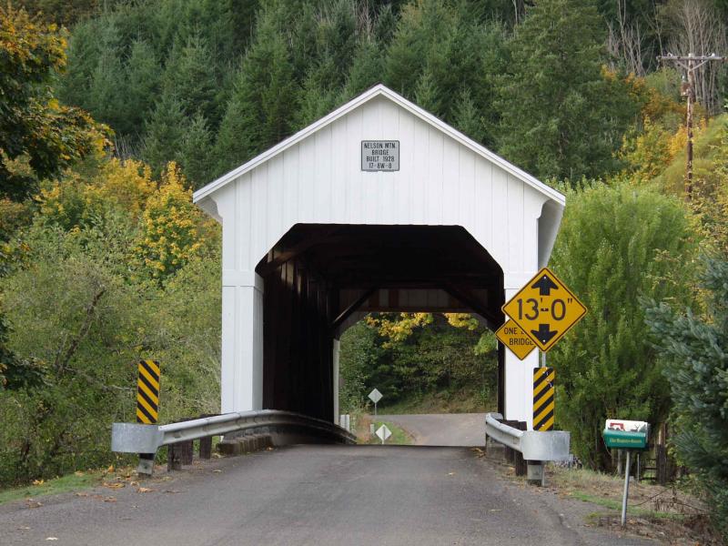 Nelson Mtn Bridge.jpg