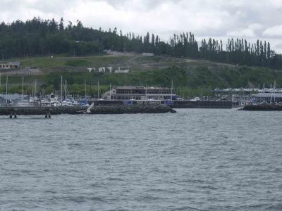 Ferry rides 11.jpg