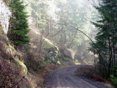 Mountain Rd by Oak Ridge