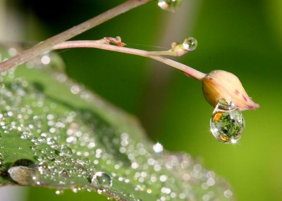 SUR LE CHEMIN DE LA VIE.......POUR LES FEMMES QUI EMBELLISSENT AVEC LE TEMPS..