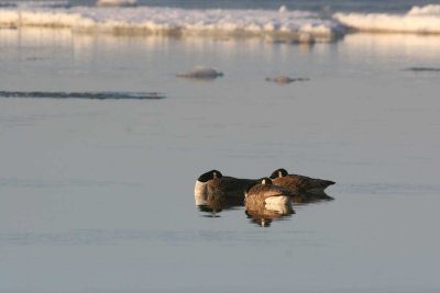 avril 2009 050.jpg