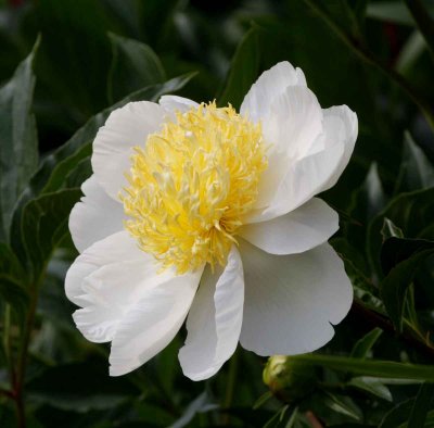 g3/95/635495/3/122871569.K9BHcKmu.jpg
