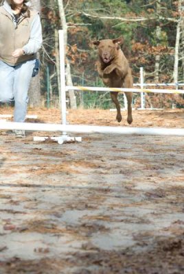 DSC_9419.jpg