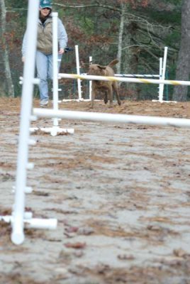DSC_9426.jpg
