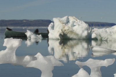 Ice and Bergs