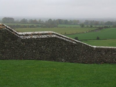 Cashel Fields