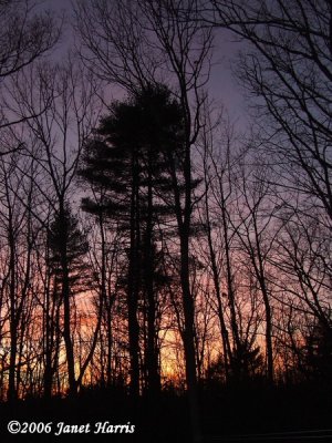 Sunset from My Window