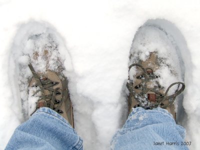 Snowshoes