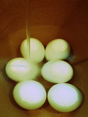 Lomographic Eggs