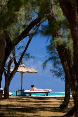 Lazing in sun, Ile de l'Est, Mauritius