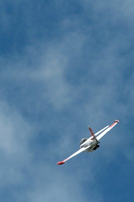IMG_0510.JPG