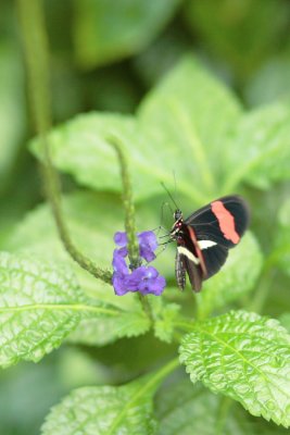 IMG_3432.JPG