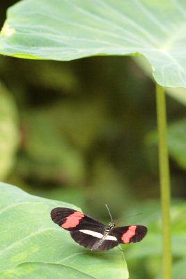 IMG_3447.JPG