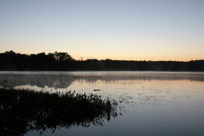 IMG_7026.jpg