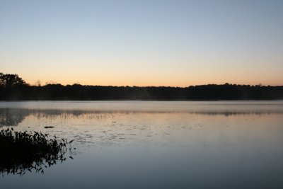 IMG_7035.jpg