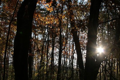 IMG_7109.jpg