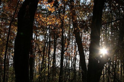 Waterloo State Park