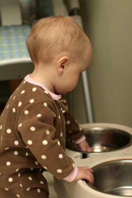 IMG_7444.jpg