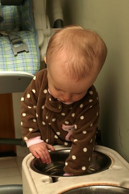 IMG_7469.jpg