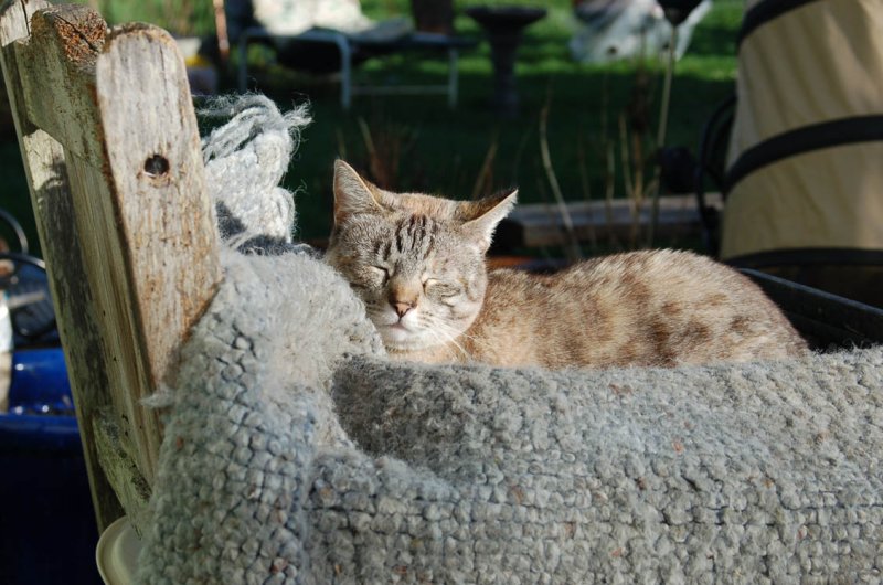 Emy in the sun chair