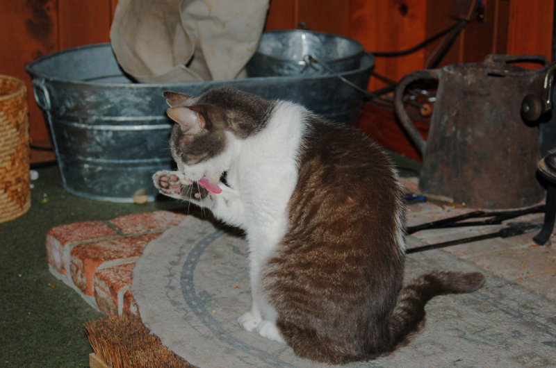 Farley washing