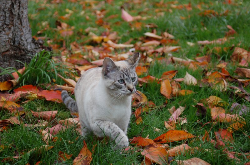 DSC_0198.JPG