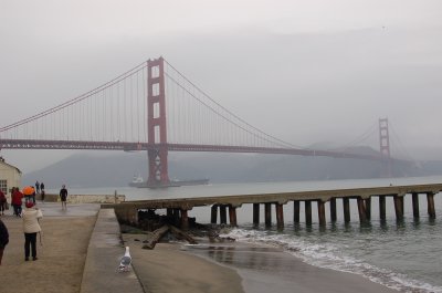 GG from Crissy field Dec 09