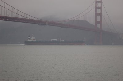 GG from Crissy field Dec 09