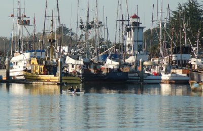 Table Bluff lighthouse at Eureka Marina
