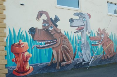 Flatmo dogs