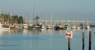 no wake