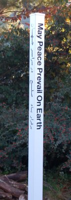 pole_2