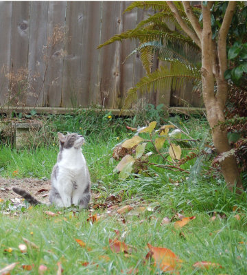 DSC_0289.JPG