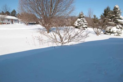 DSC_3143.jpg