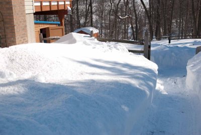 DSC_3148.jpg