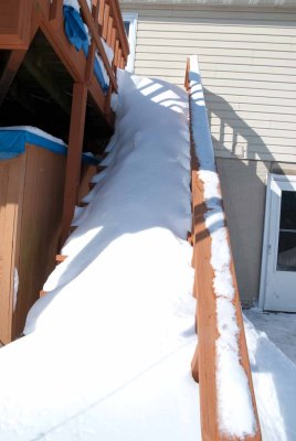 DSC_3154.jpg