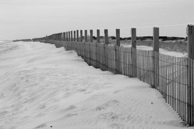 Black and White Adventures