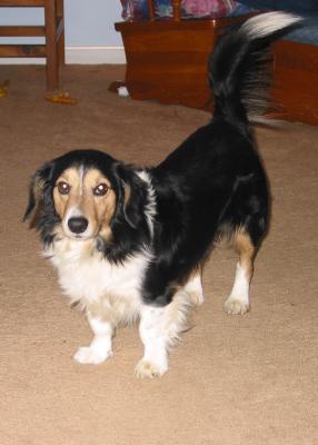 g3/95/7495/3/55689344.Leroy.jpg