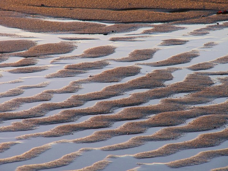 Flooded Sand Ripples