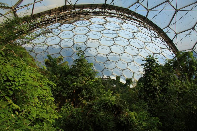 Inside the Humid Tropical Biome