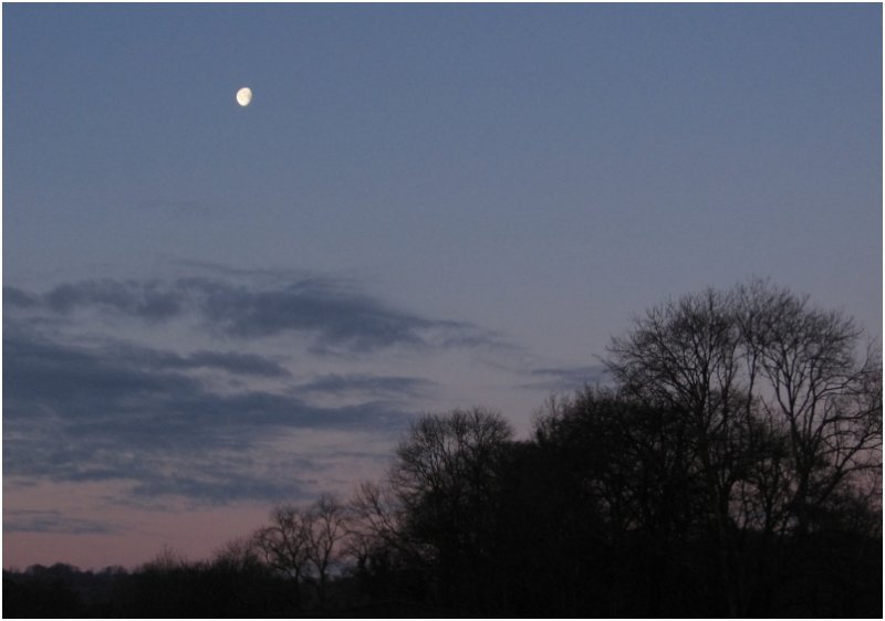 Morning Moon - 4 January 2010