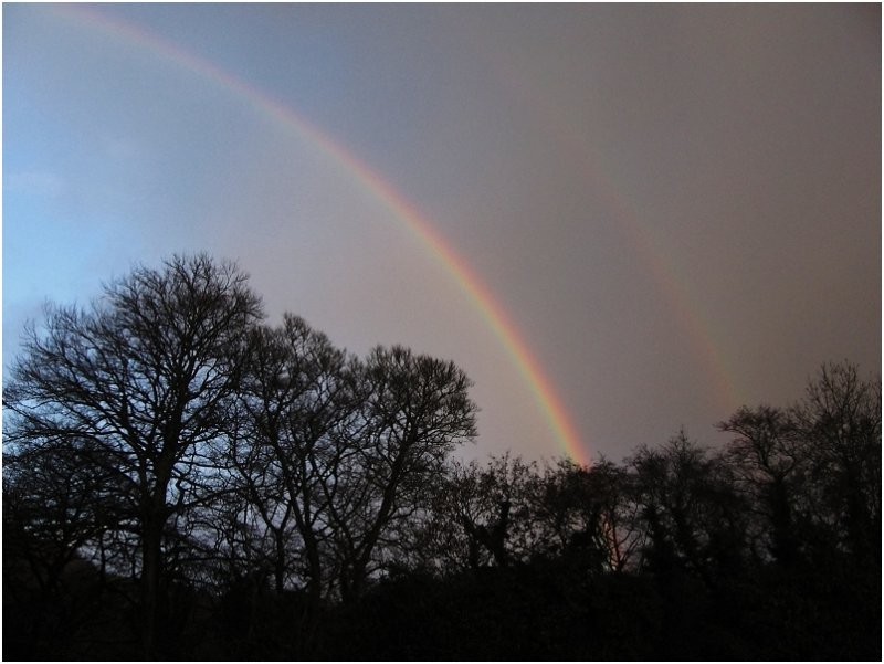 Winter Trees & Rainbows - 26 November 2009