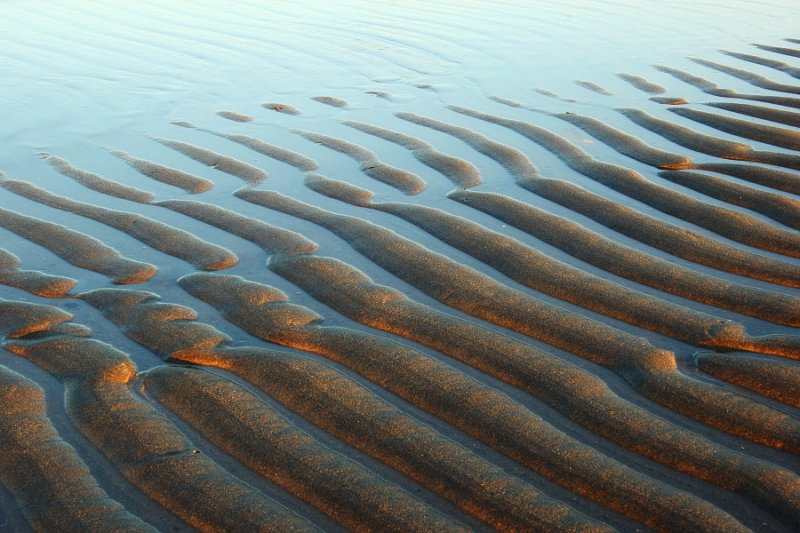Ripples in Sand